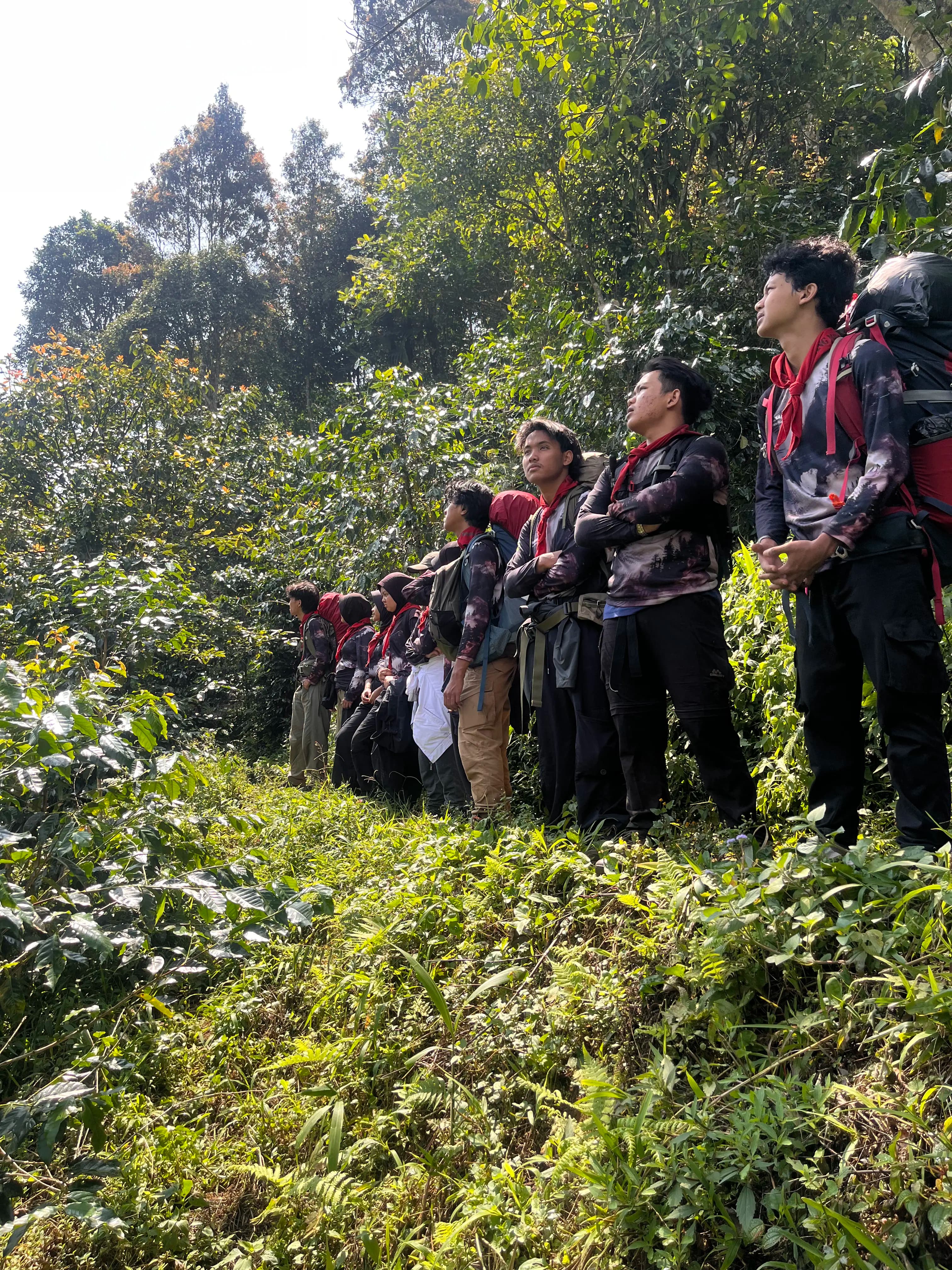 Gemarawana expedition