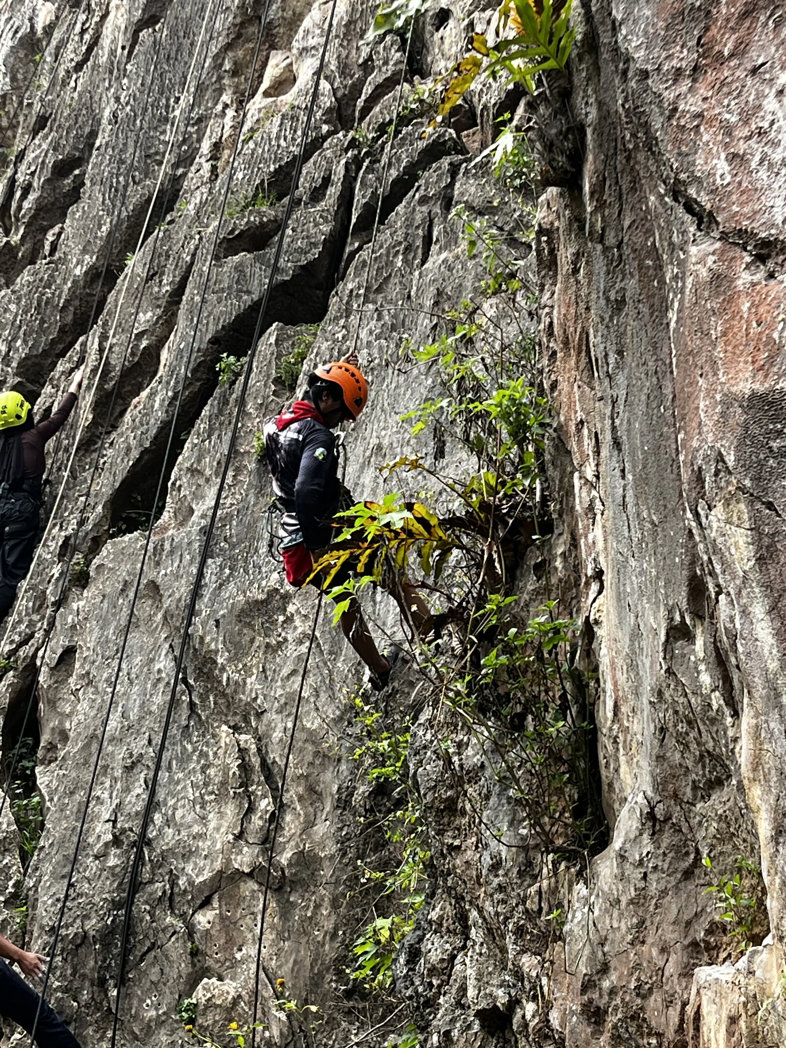 Gemarawana climbing activity